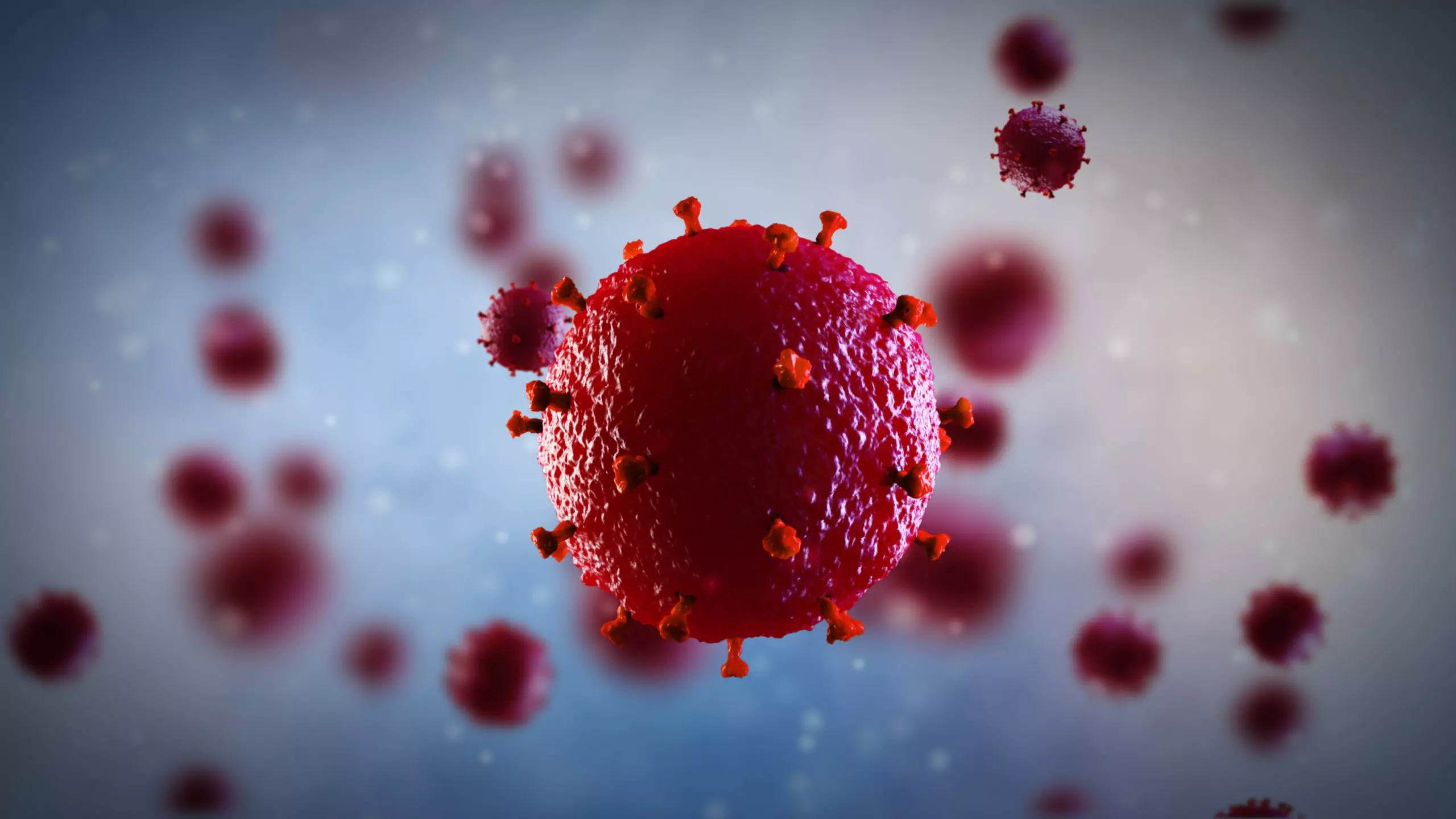 VIH ¿Cómo afecta a nuestro sistema inmunológico?